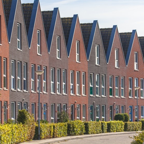 houses-in-a-street-with-hedgerows-in-groningen-2023-11-27-05-09-59-utc